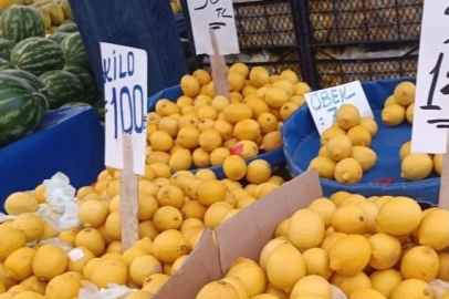 Limon üreticisinin sesine duyarsızlık fahiş fiyatlara neden oldu